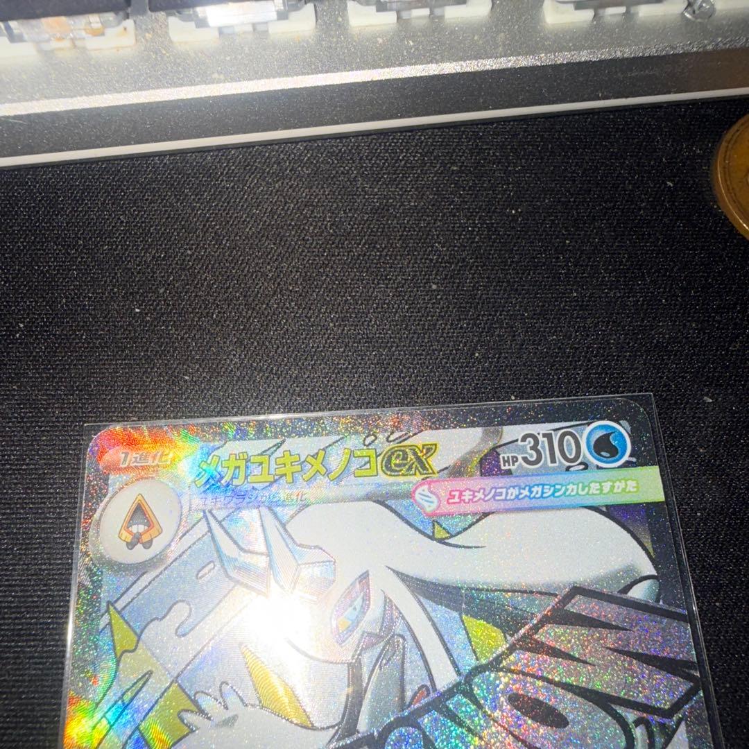メガユキメノコex(※表面加工エラー)
