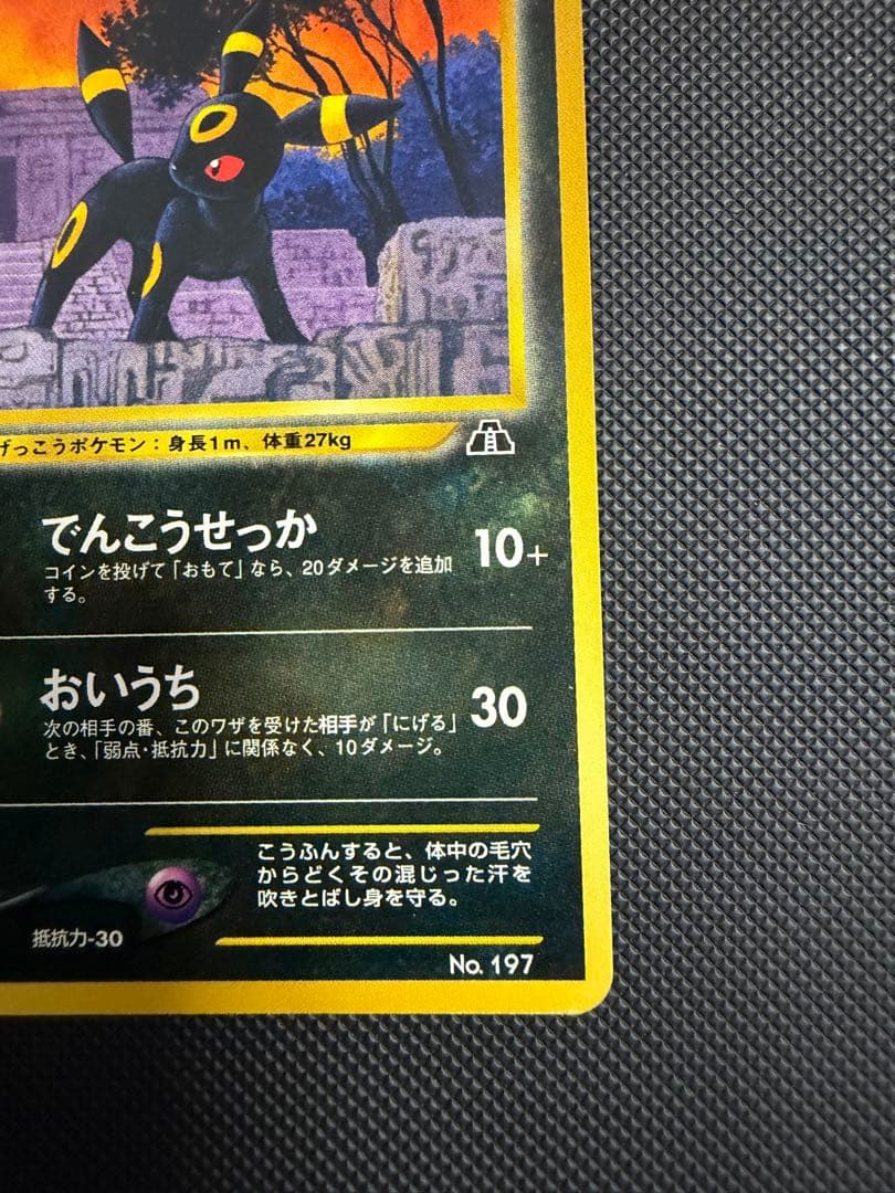 ブラッキー_プレミアムファイル2 PROMO 第2世代（★neo・★VS・★w…