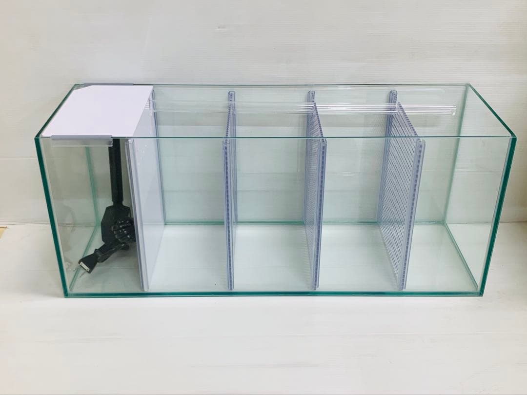 ラスト1台　特注ガラス水槽　600×200×200　4室　ポンプ付き　未使用