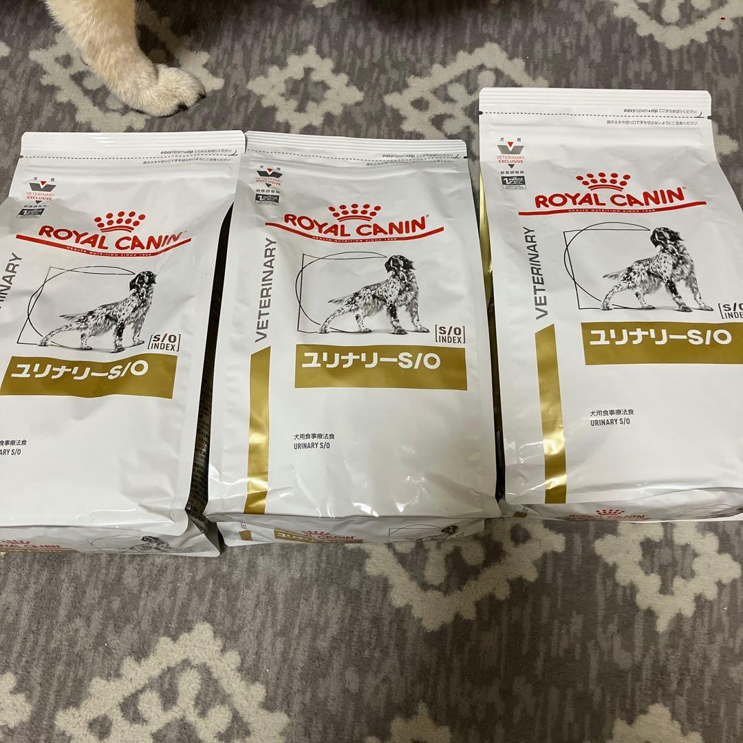  CANIN ユリナリーS/O 1kg 3袋