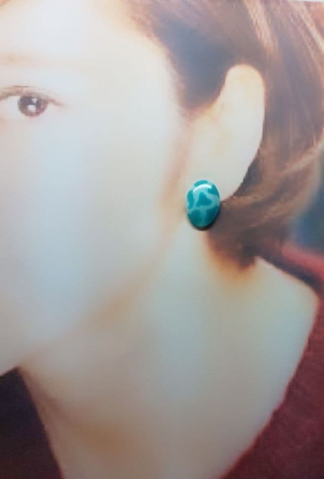イヤリング・ノンホールピアス No.749