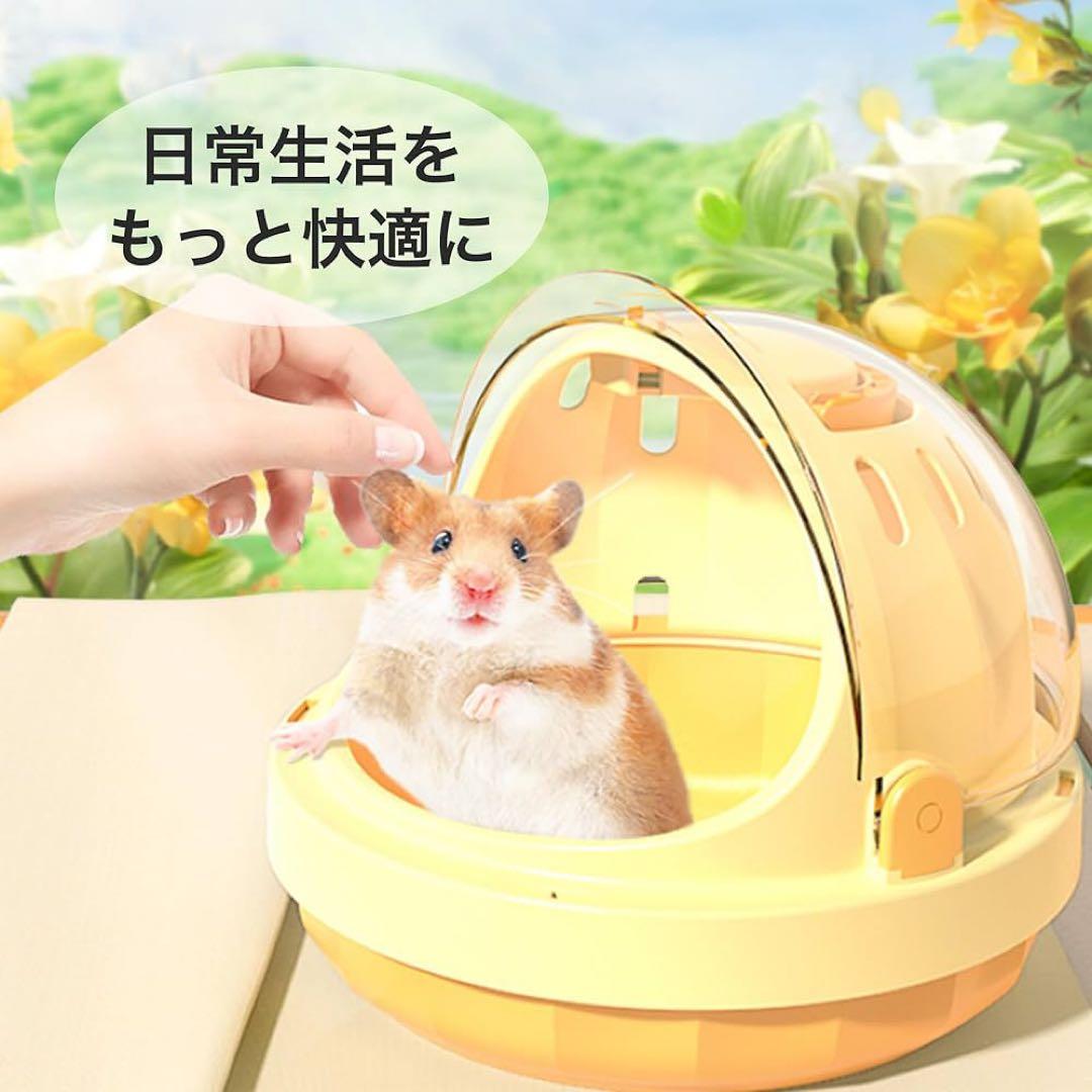 【専用出品】フクロモモンガ お世話セット