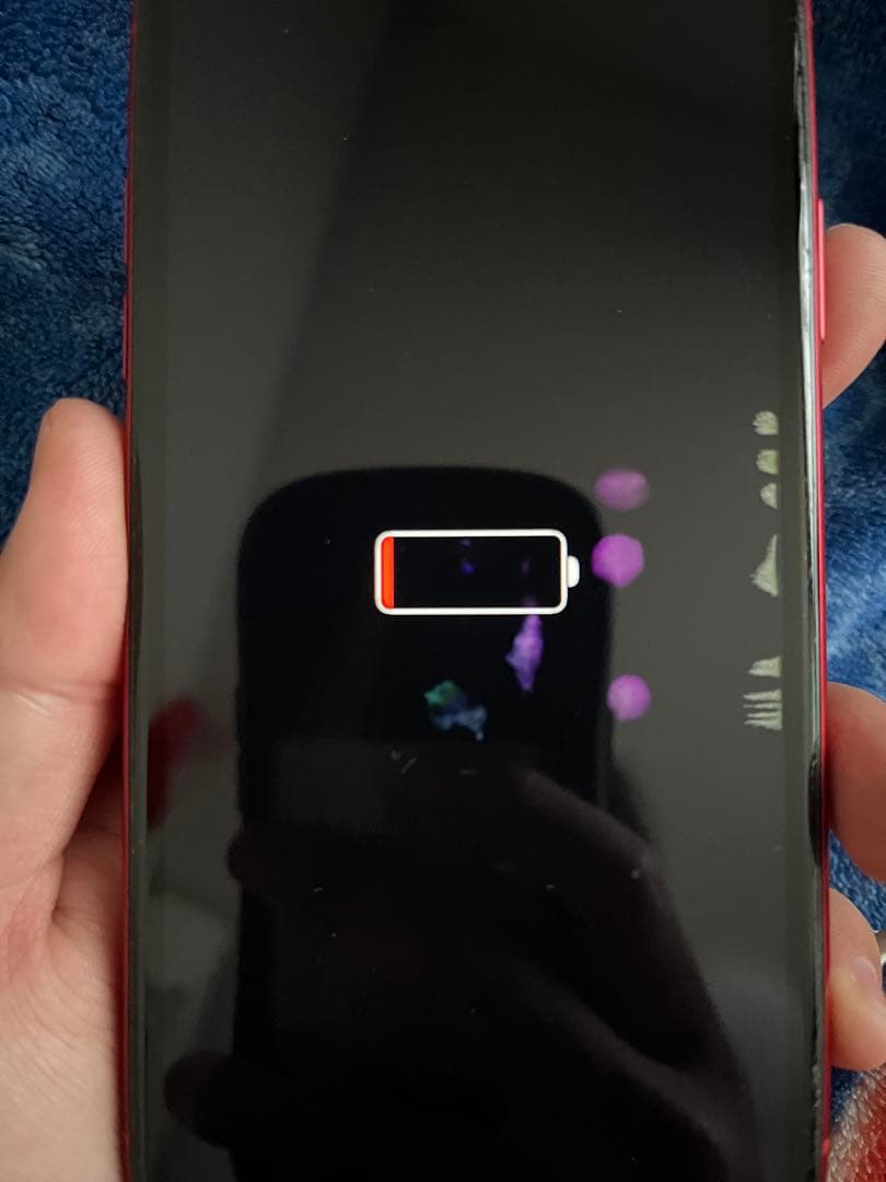 Apple iPhone 11 赤
