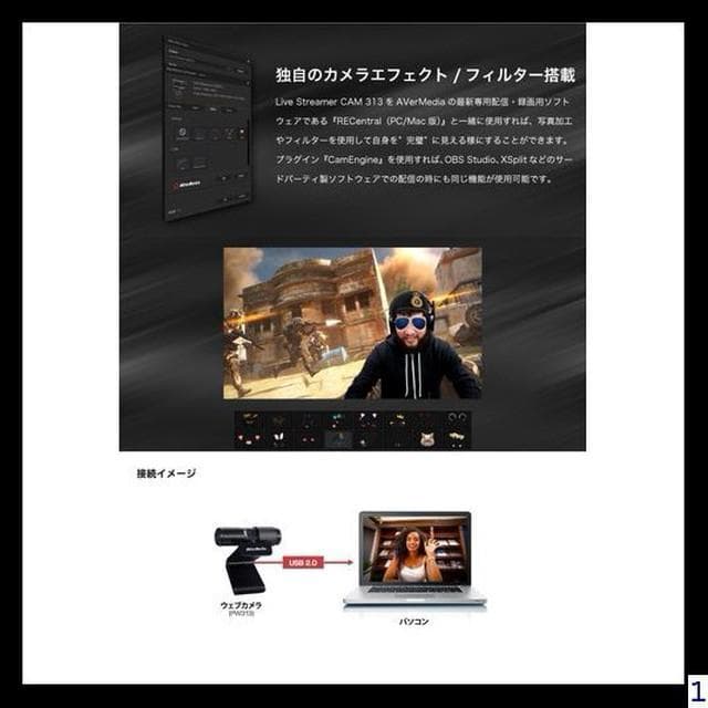 Webカメラ AVerMedia (アバーメディアテクノロジーズ) PW313