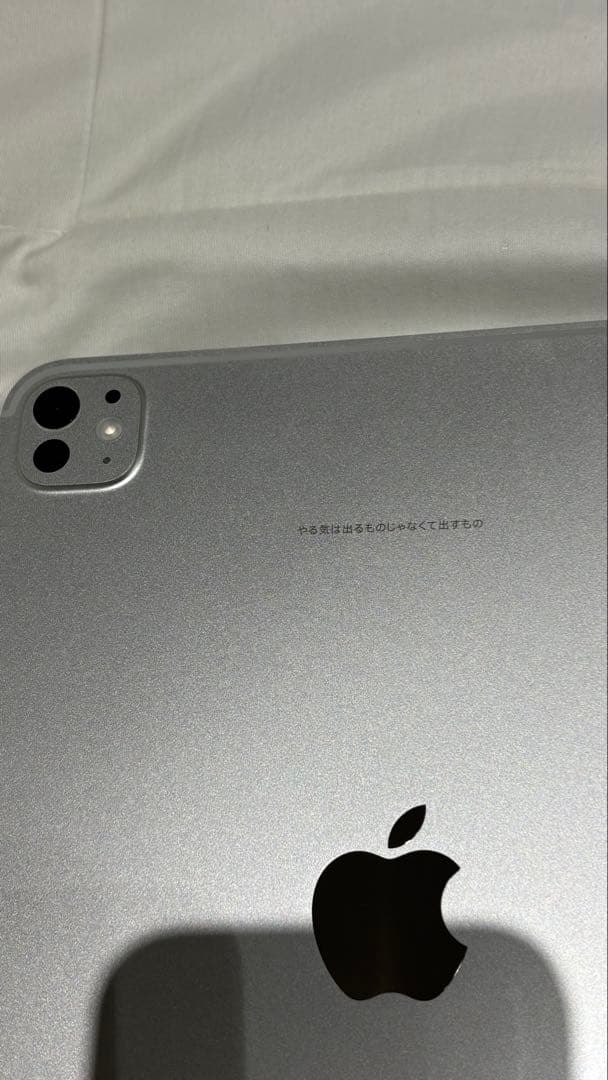 Apple 11インチ iPad Pro (M4) 本体