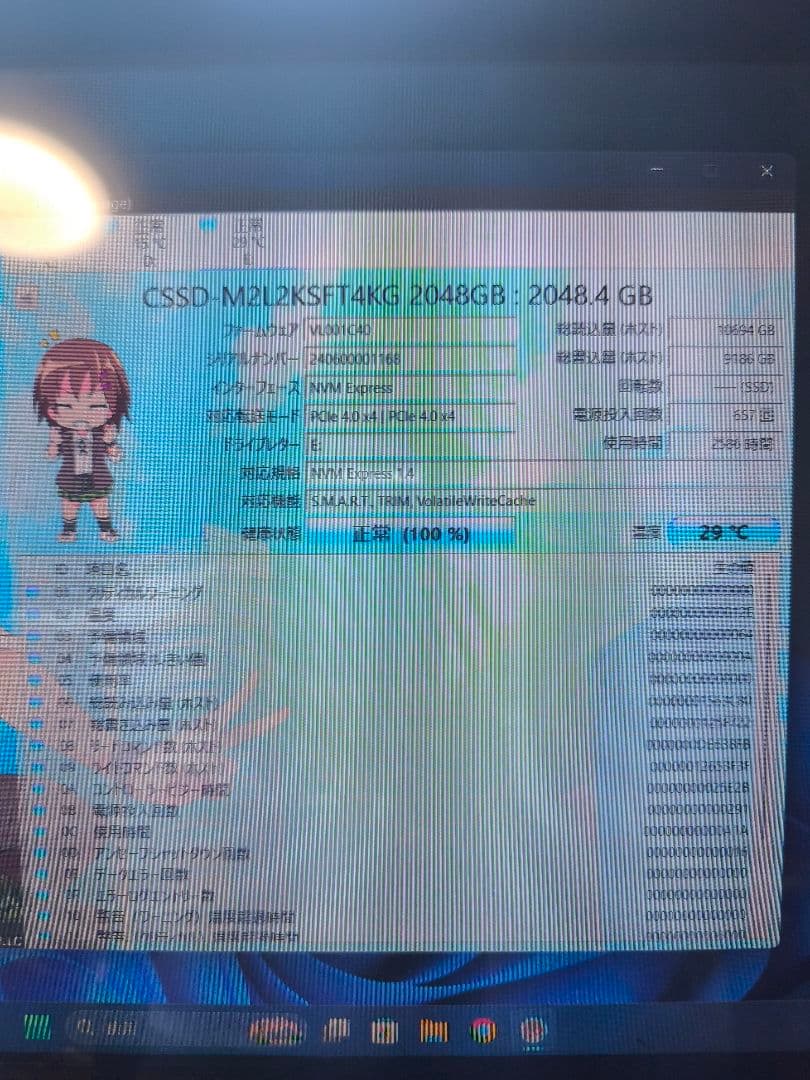 内蔵型SSD SSD 2TB M.2 NVMe SFT4000G