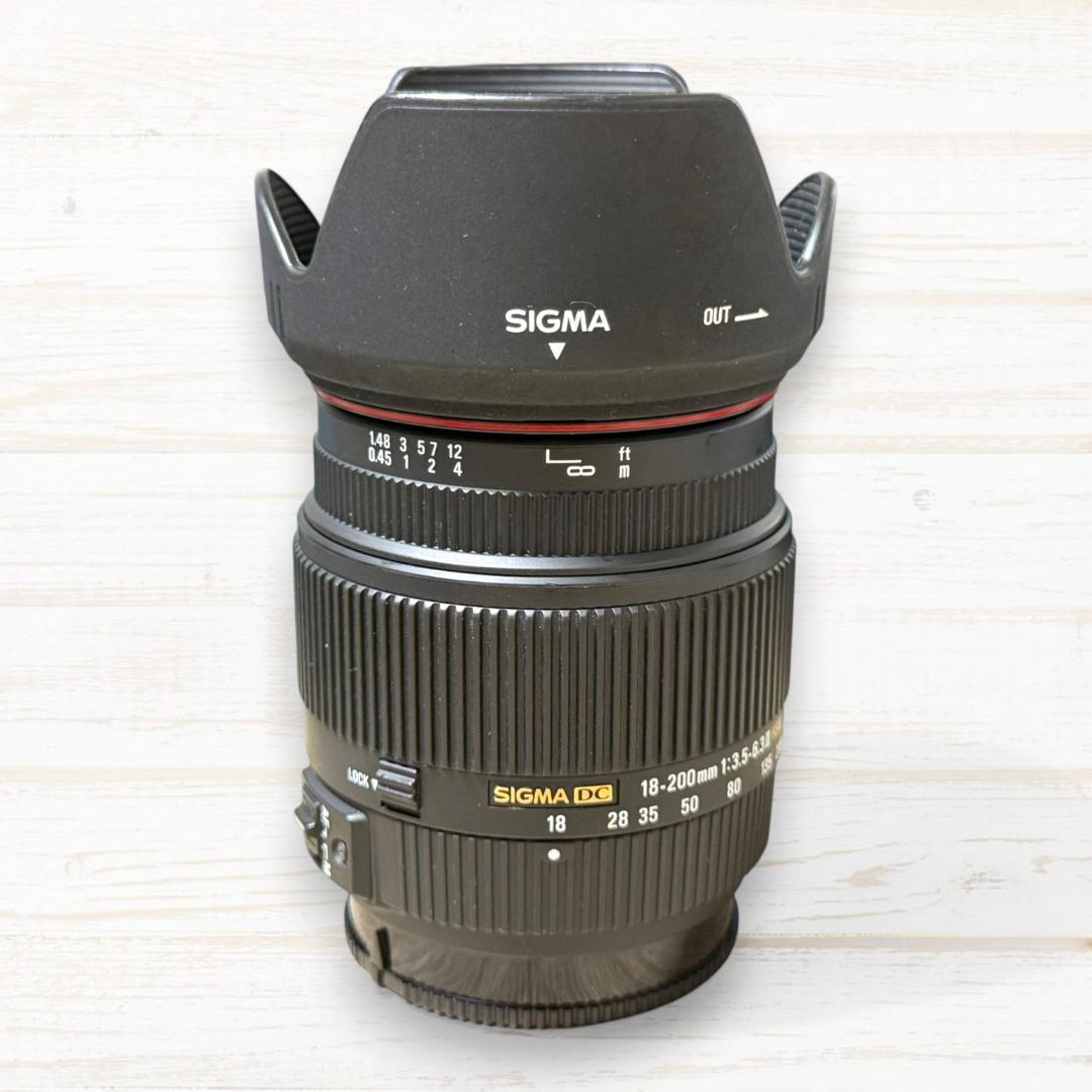 SIGMA ズームレンズ 18-200mm Ⅱ DC HSM SONY #165