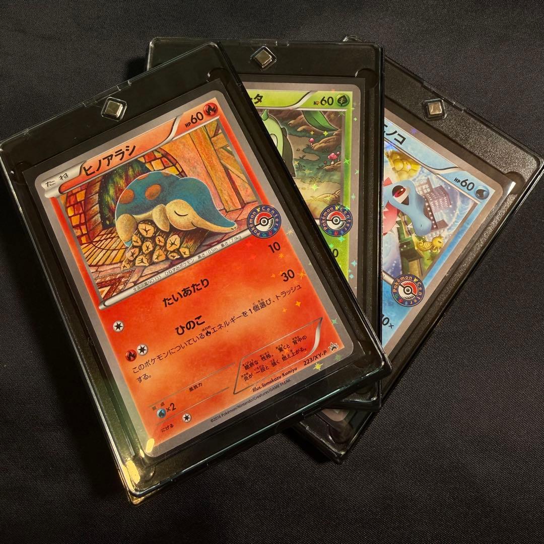 チコリータ　ヒノアラシ　ワニノコ　ポケモンカード　プロモ　御三家3枚セット