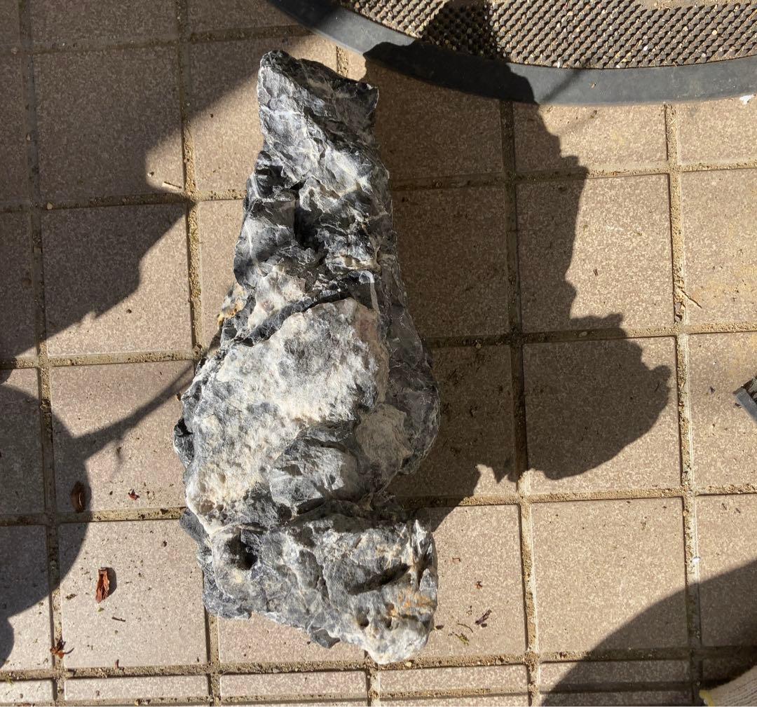 龍王石　ADA アクアリウム　特大　親石　石組レイアウト　水草　水槽