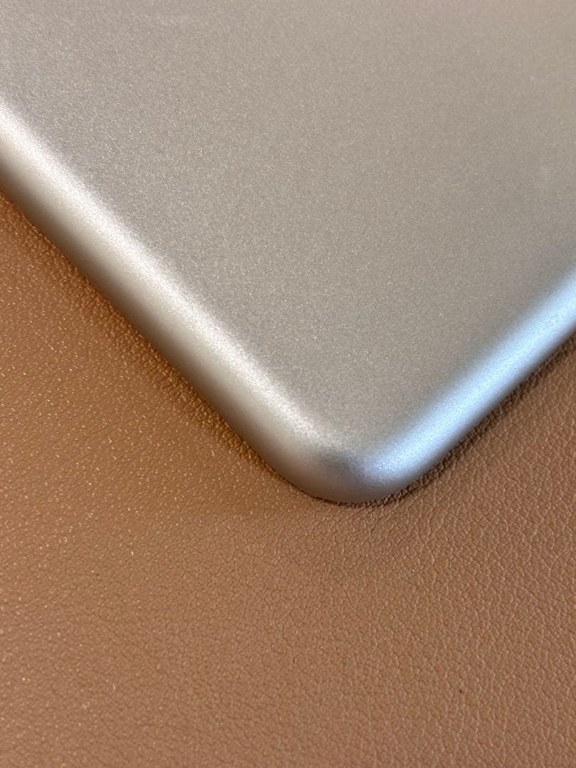 Apple iPad mini (第4世代) シルバー16GB