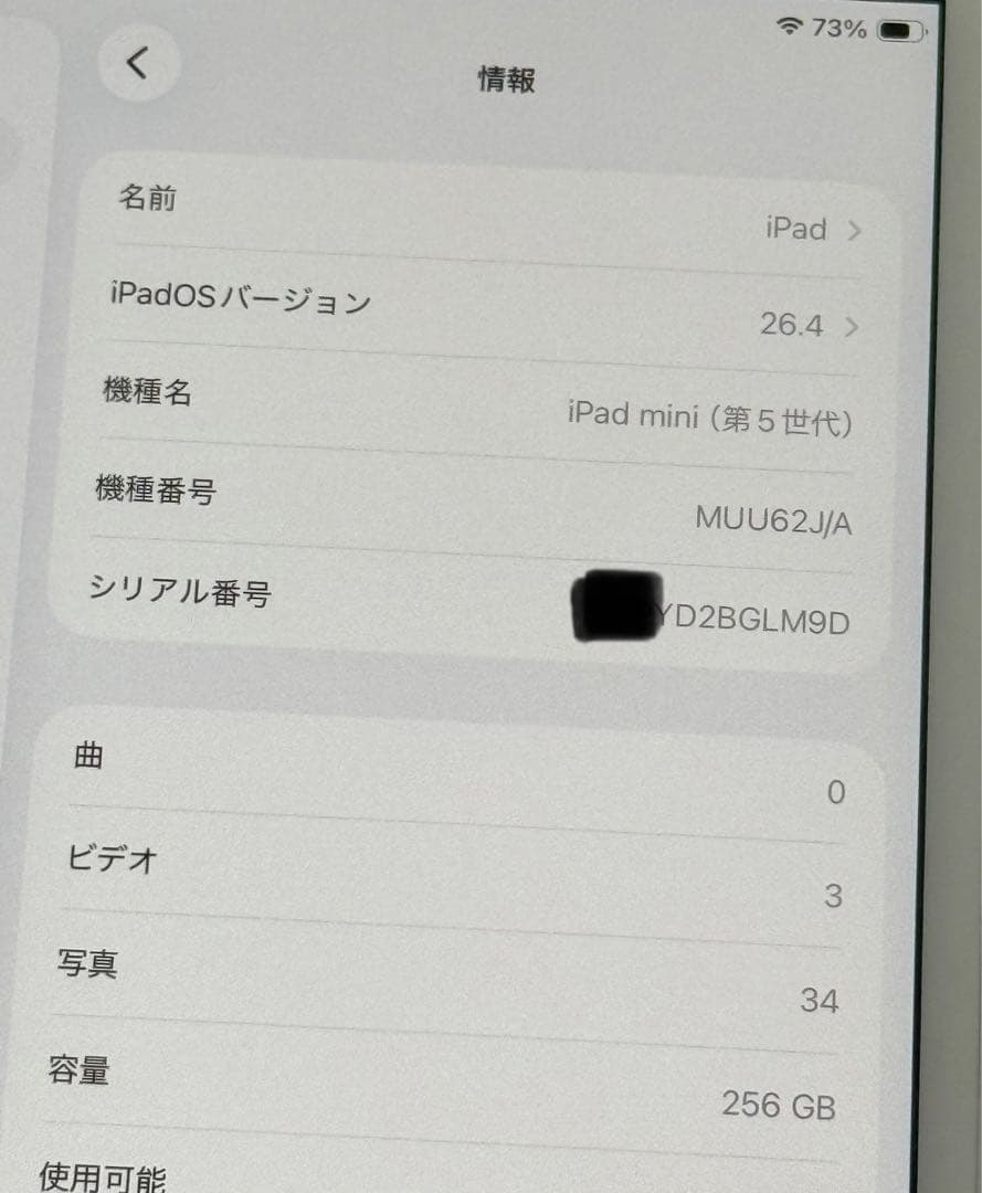 iPad mini 第5世代　256GB Wi-Fiモデル　美品