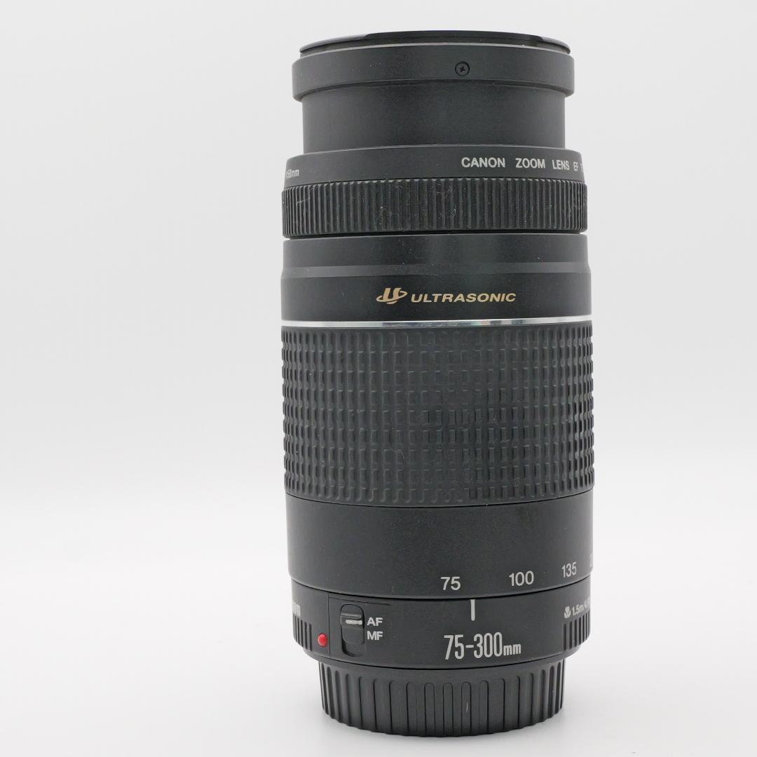 美品 EF75-300mm F4-5.6 III USM 望遠レンズ #86