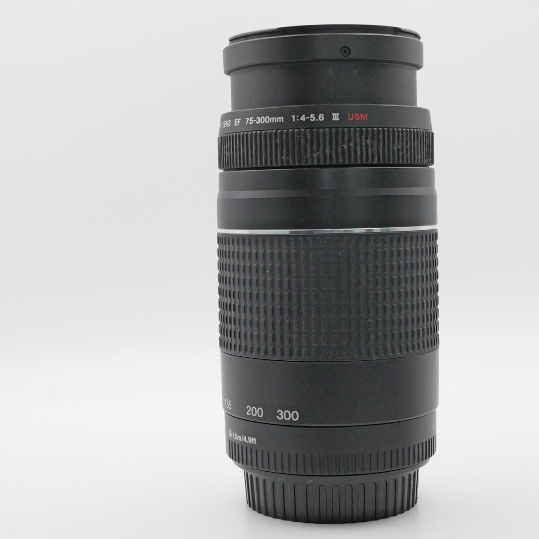 美品 EF75-300mm F4-5.6 III USM 望遠レンズ #86