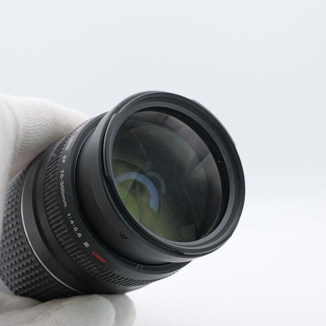 美品 EF75-300mm F4-5.6 III USM 望遠レンズ #86