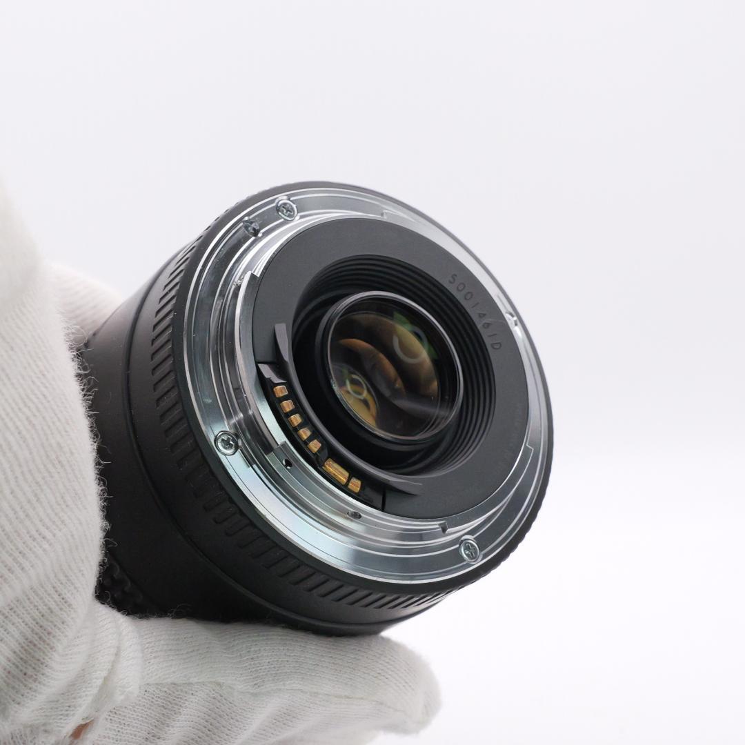 美品 EF75-300mm F4-5.6 III USM 望遠レンズ #86