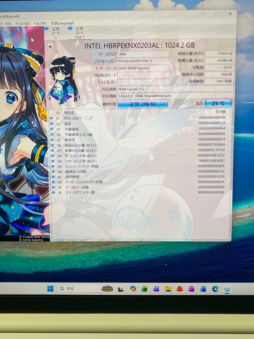 内蔵型SSD INTEL HBRPEKNX0203AL 1TB