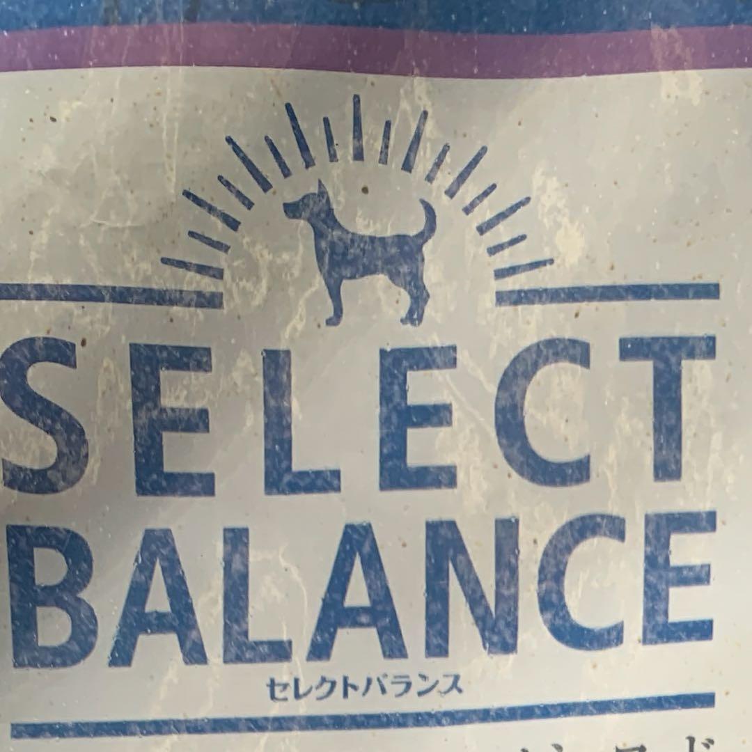 アダルトラム15キロ