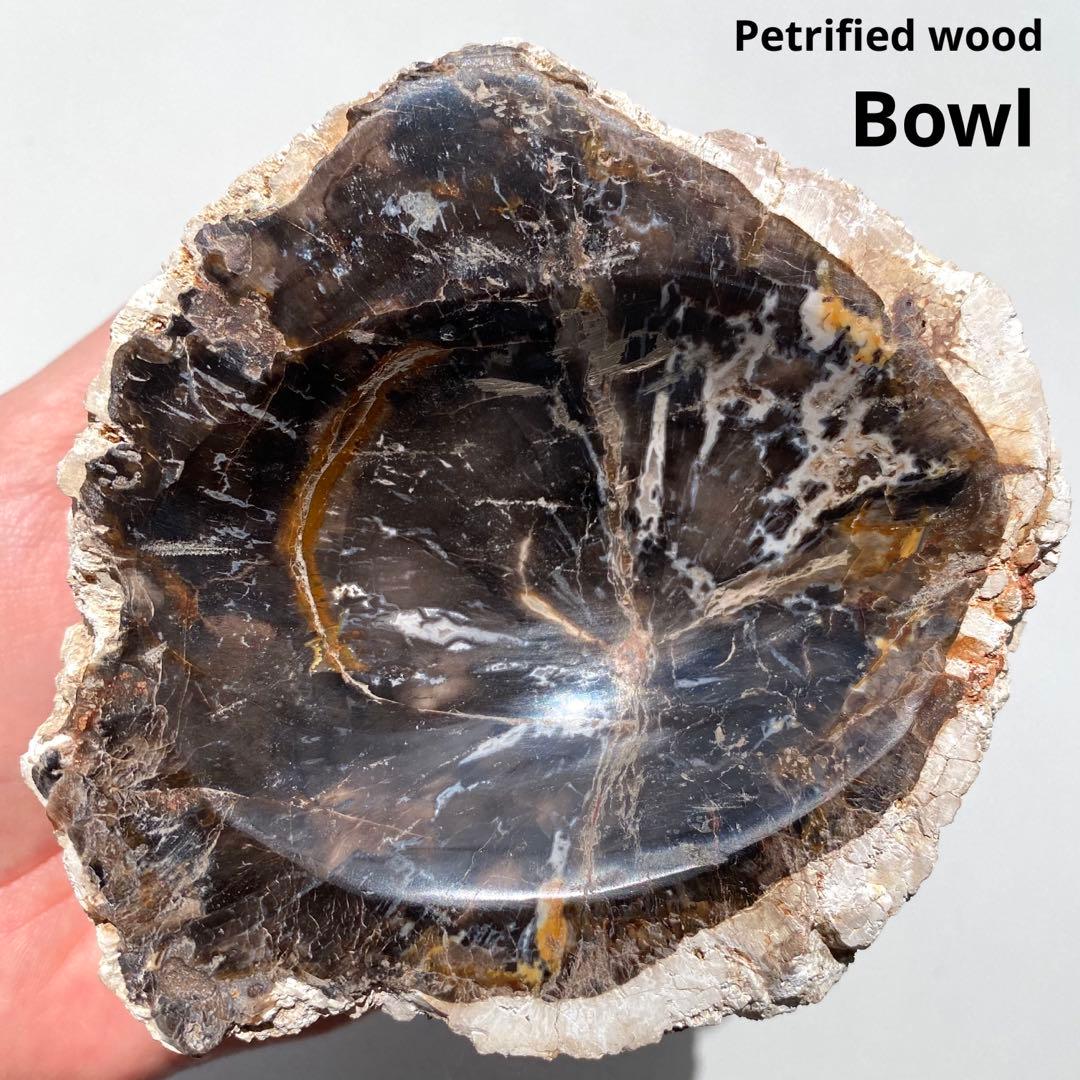【 珪化木 ペトリファイドウッド ボウル 約690g アクセサリー トレイ 】