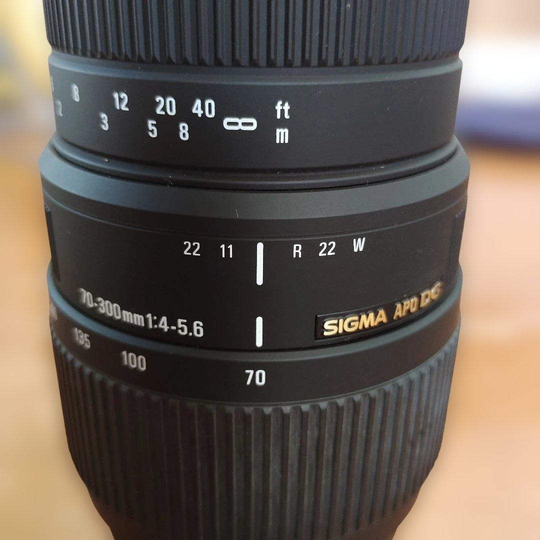 【美品】SIGMA APO DG 70-300mm f/4-5.6 ズームレンズ