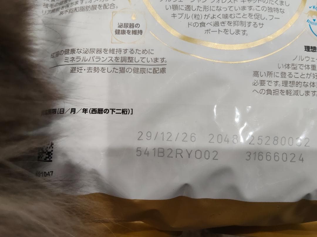  CANIN ノルウェージャンフォレストキャット ドライフード 2袋