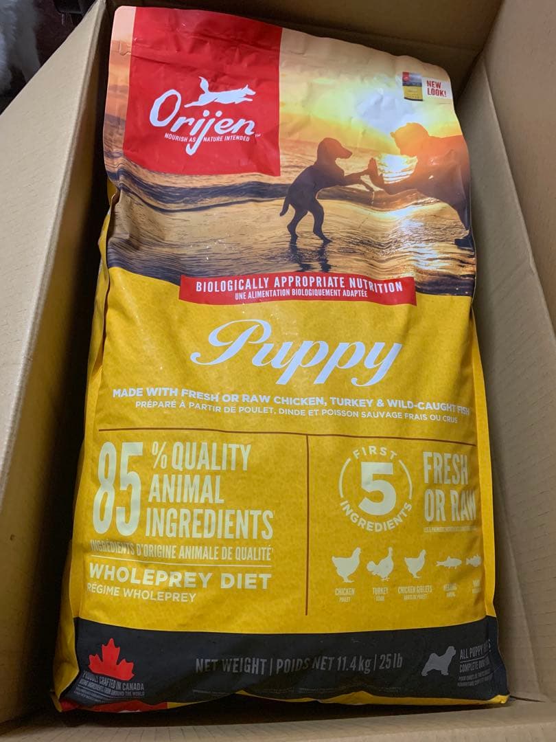 Orijen Puppy ドライフード 11.4kg 正規品　⓶