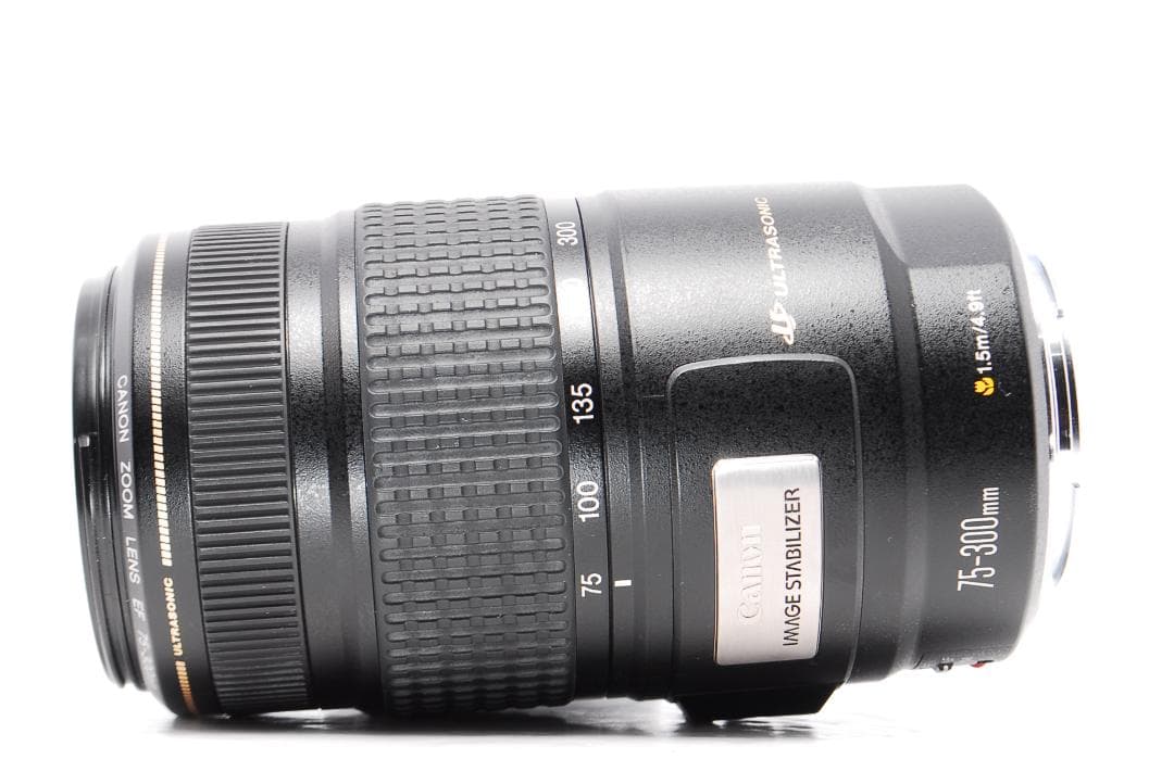 超望遠 外観美品 Canon EF 70-300mm F4-5.6 IS USM