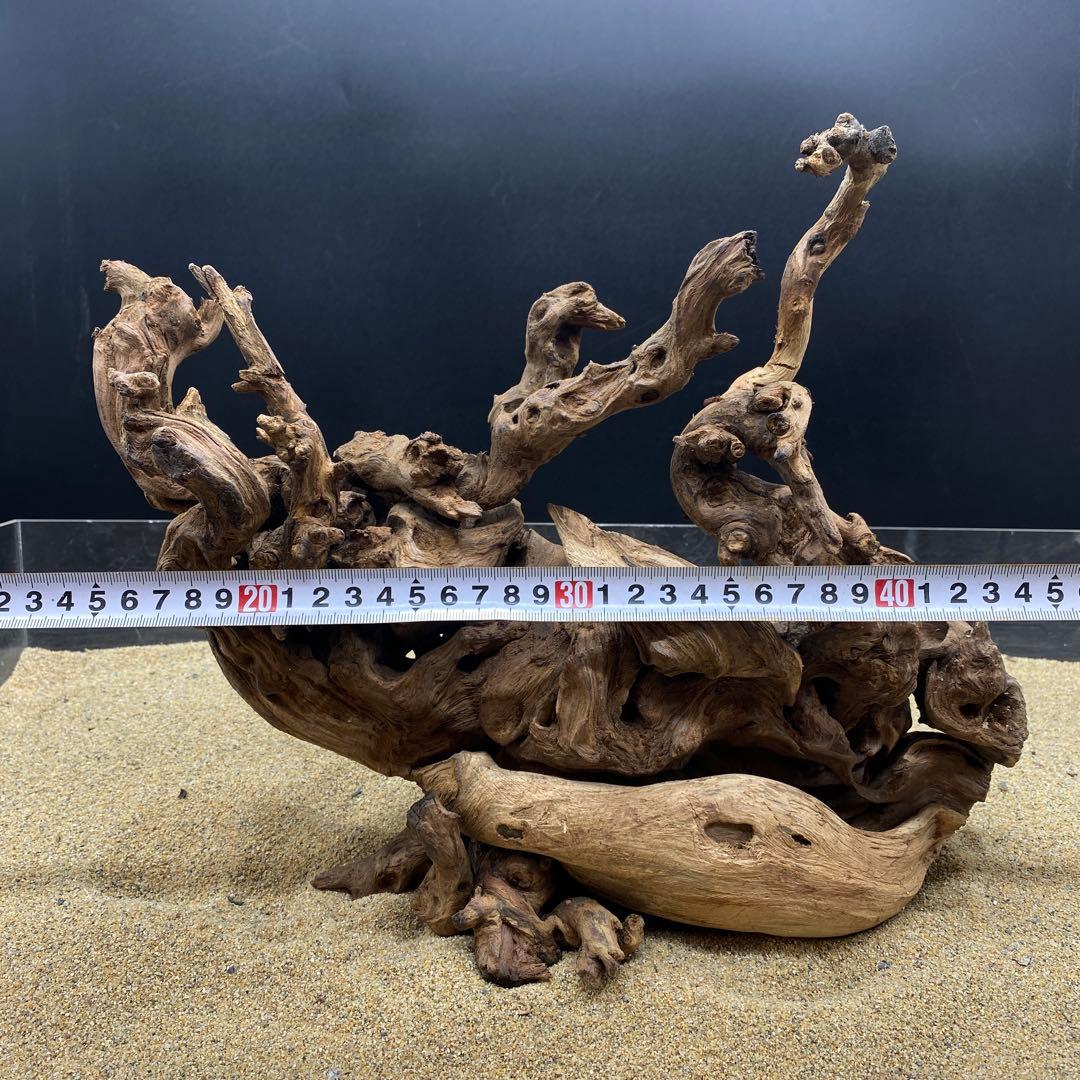 MSW-6454 -6458天然流木　1点物　枝流木　アクアリウム