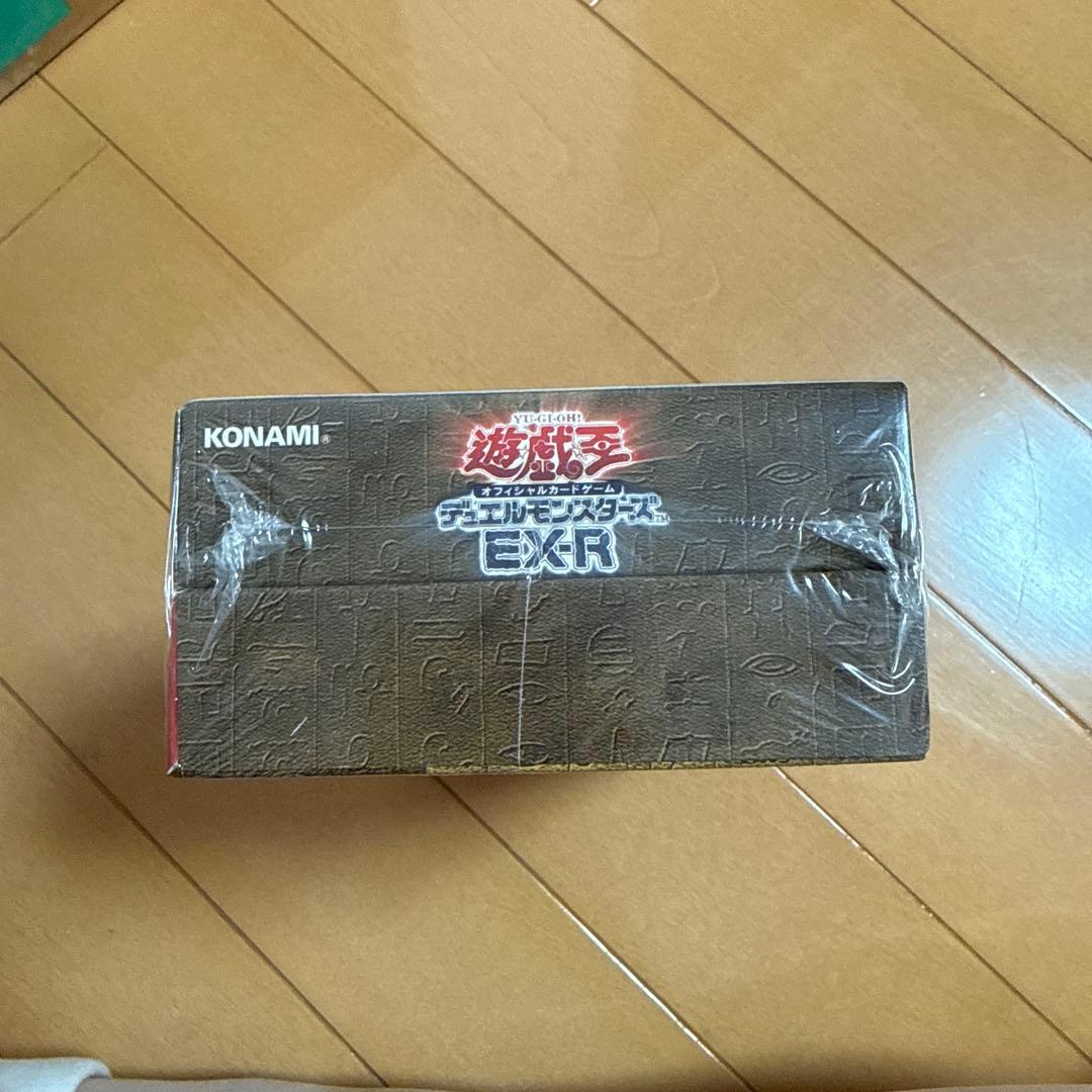 遊戯王OCG デュエルモンスターズ EXR