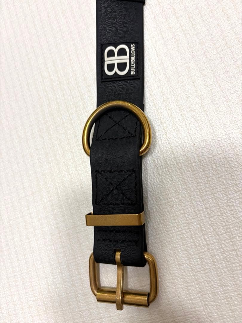 Bullybillows 防水　首輪　リード