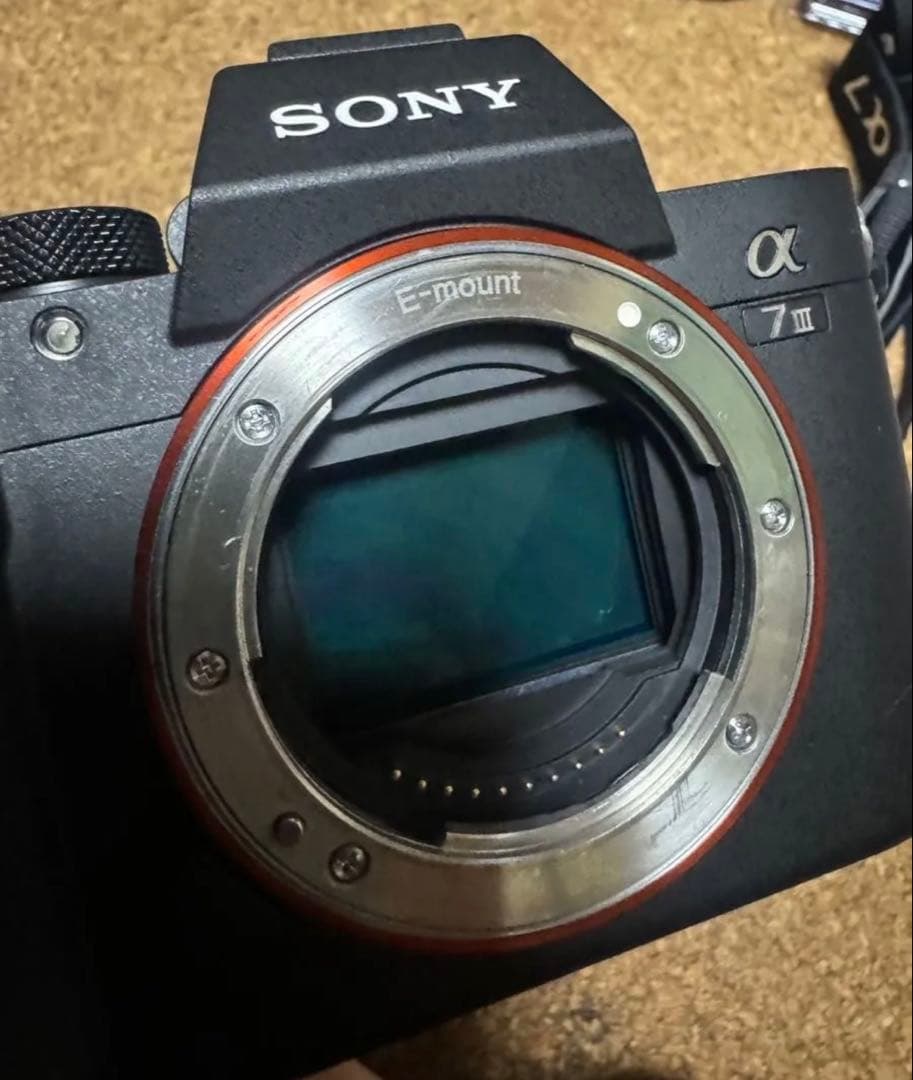 旅行やアウトドアキャンプレンズ２本セットSONYILCE-7M3α7III付属品