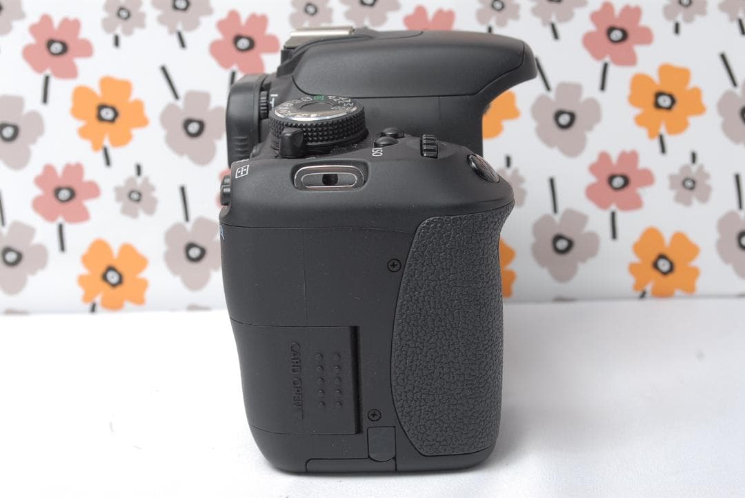 ❤Canon Kiss X5❤ショット数388回❤超望遠レンズセット❤超美品❤