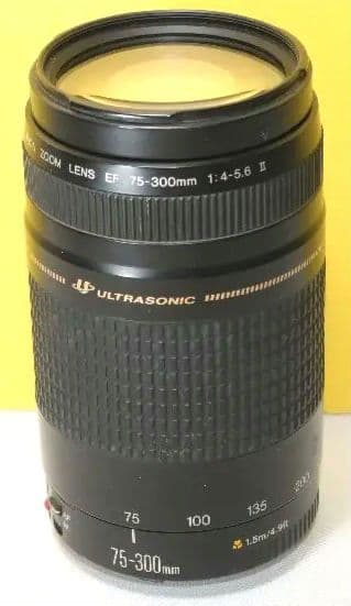 ⭐CANON EF 75-300mm F4-5.6 Ⅱ レンズ ⭐送料無料❤️