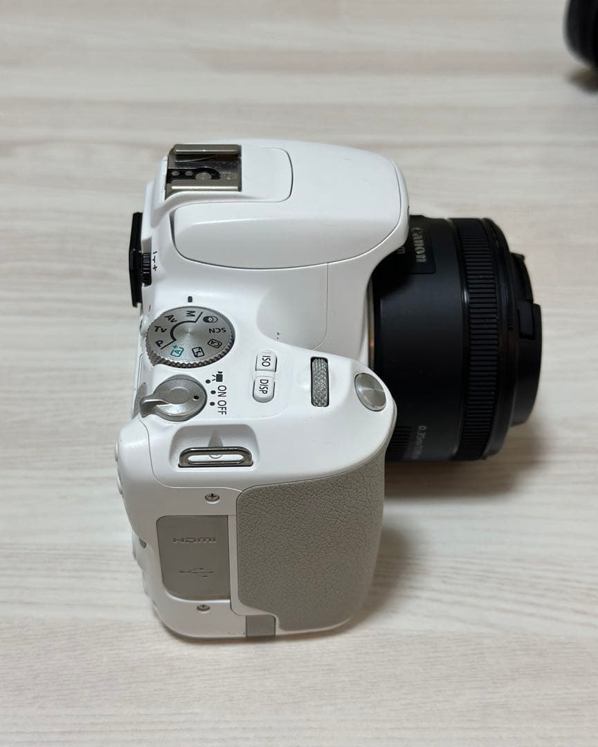 【希少・海外版】Canon 200D (Kiss X9) ホワイト レンズセット
