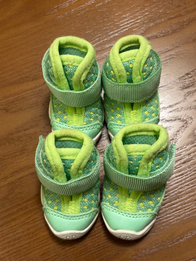 RIFRUF リフラフ 犬用 靴 サイズ1 Guava Caesar 1S