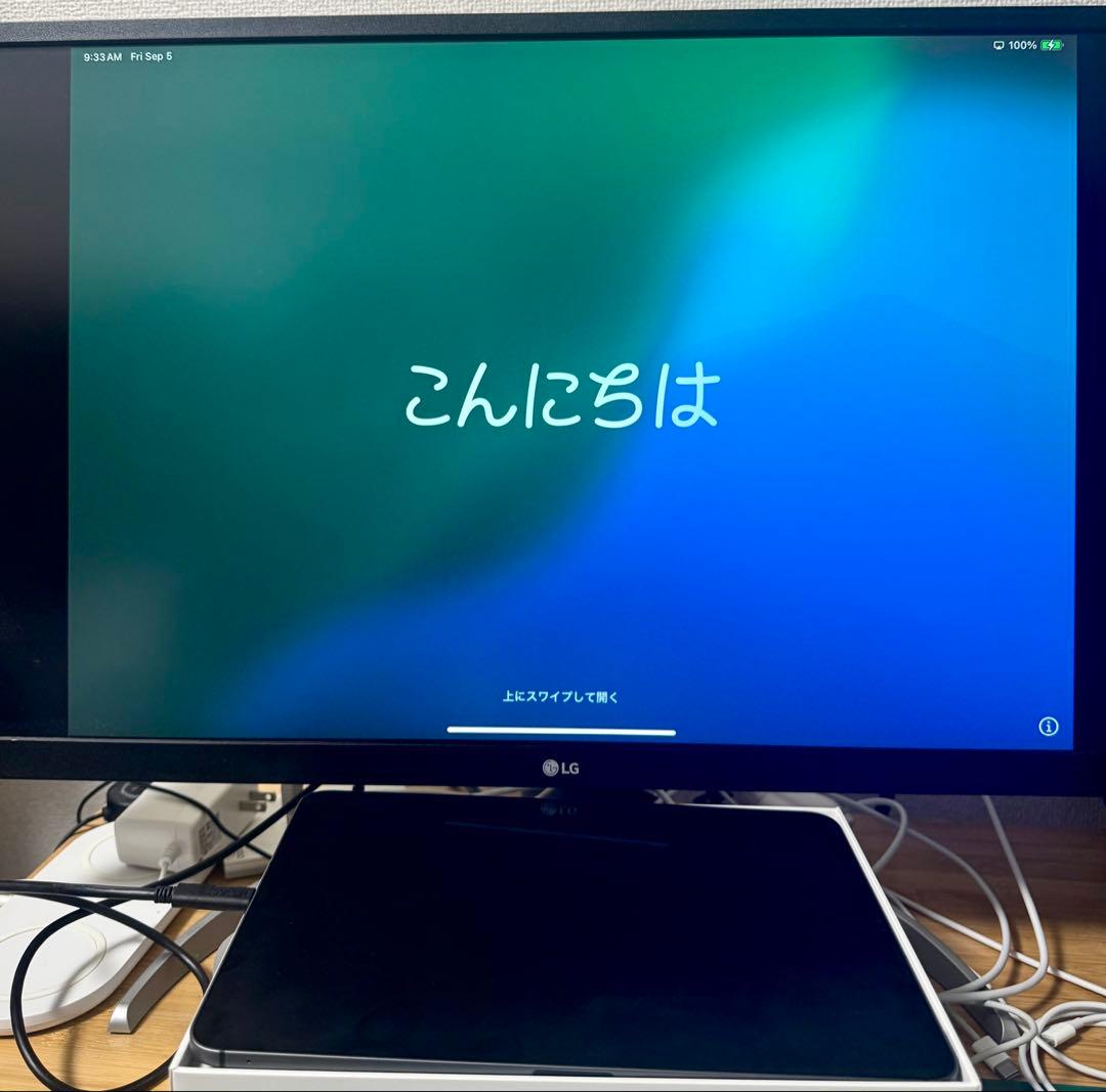 9/8まで【ジャンク・液晶×】iPad Pro 11 第3世代（M1）128GB