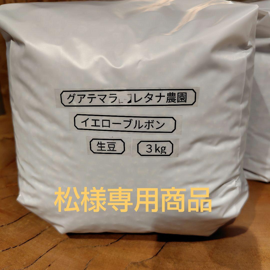 松 グアテマラ生豆＋サーバー
