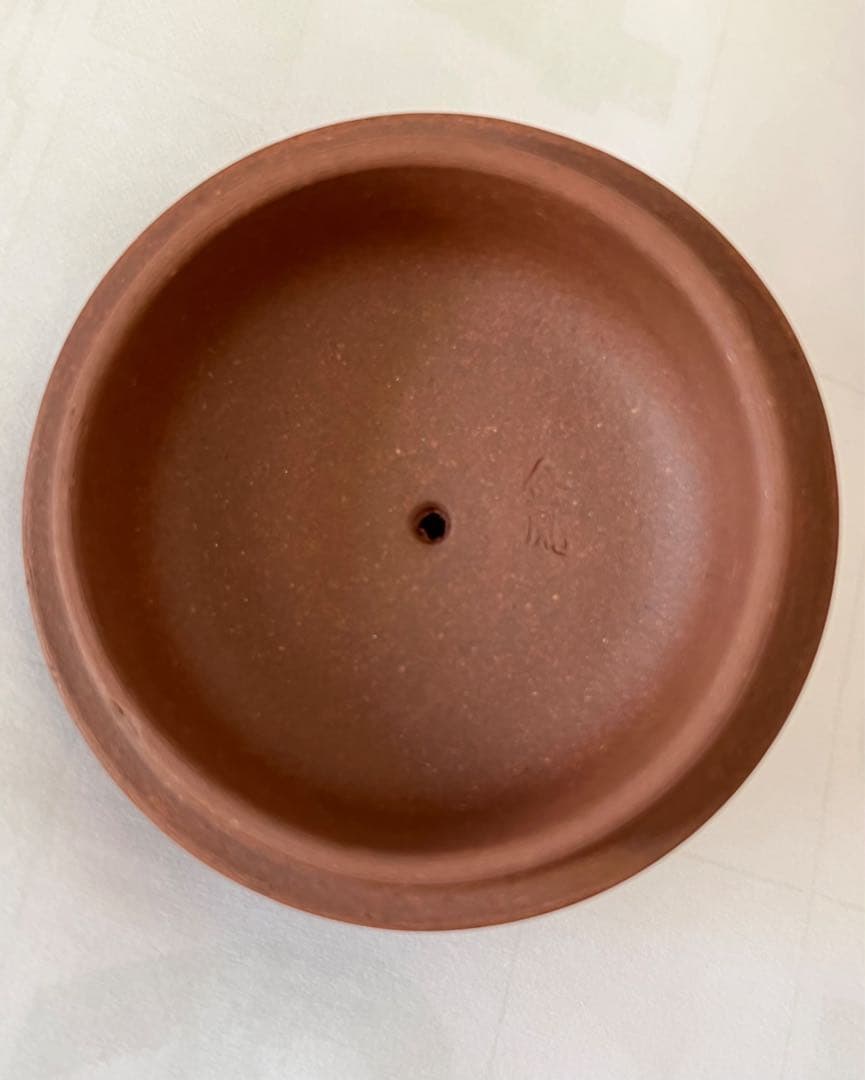 唐物 中国宜興 朱泥 急須 紫砂 茶壷