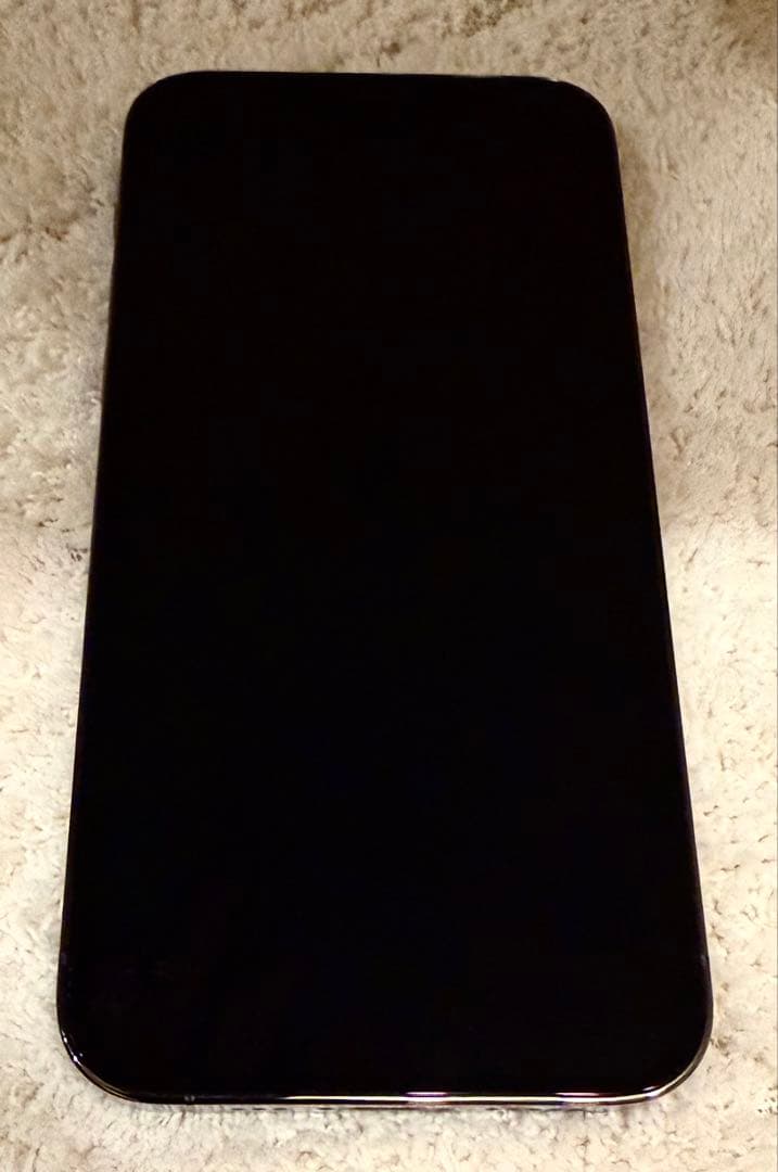 Apple iPhone 12 pro 256gb グラファイト docomo