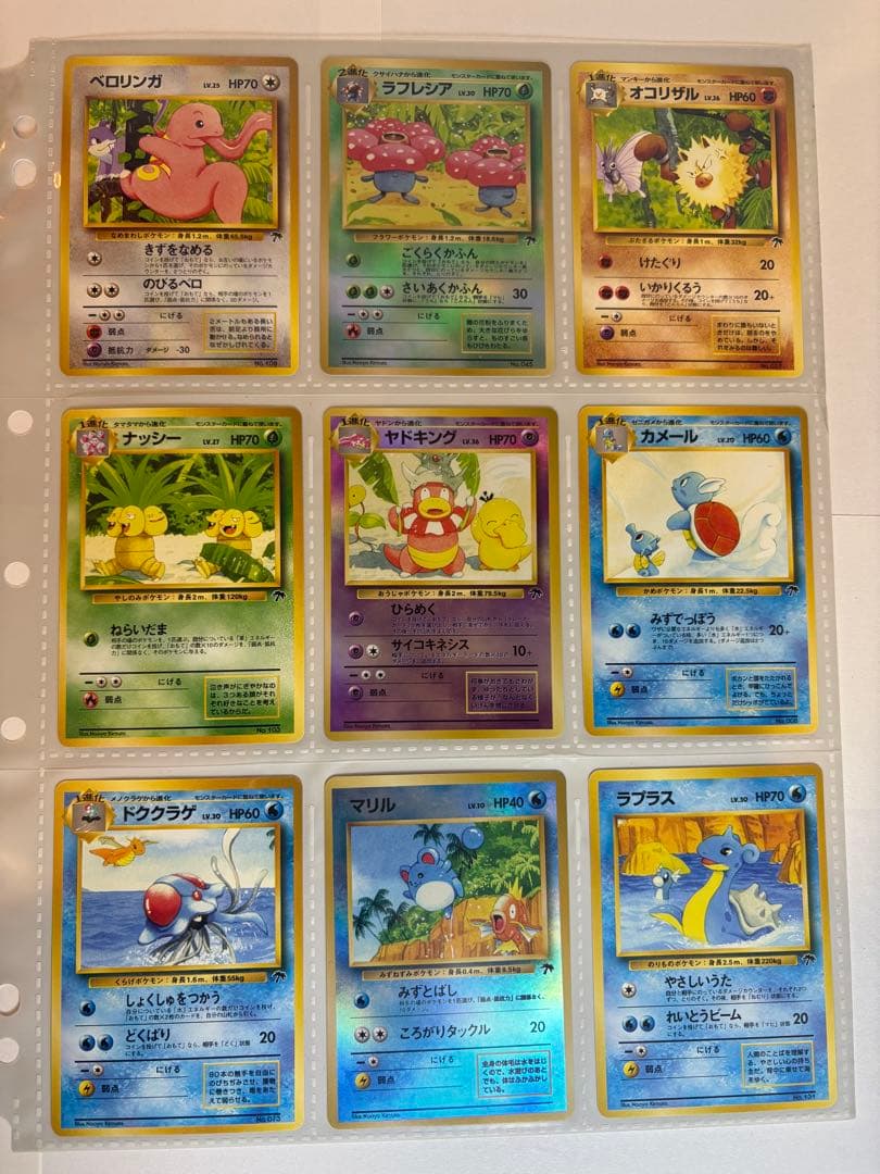 ポケモンカード レインボーアイランド／トロピカルアイランド 2枚セット　旧裏