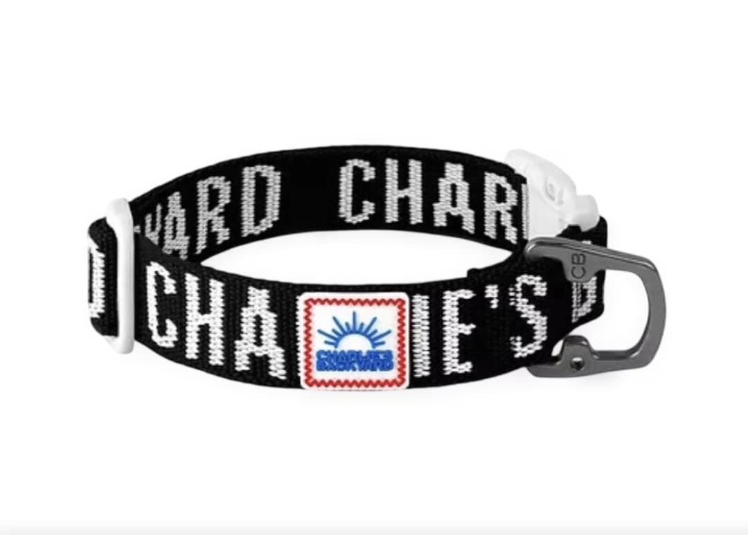 CHARLIE'S BACKYARDハーネス・首輪・リードの3点セット