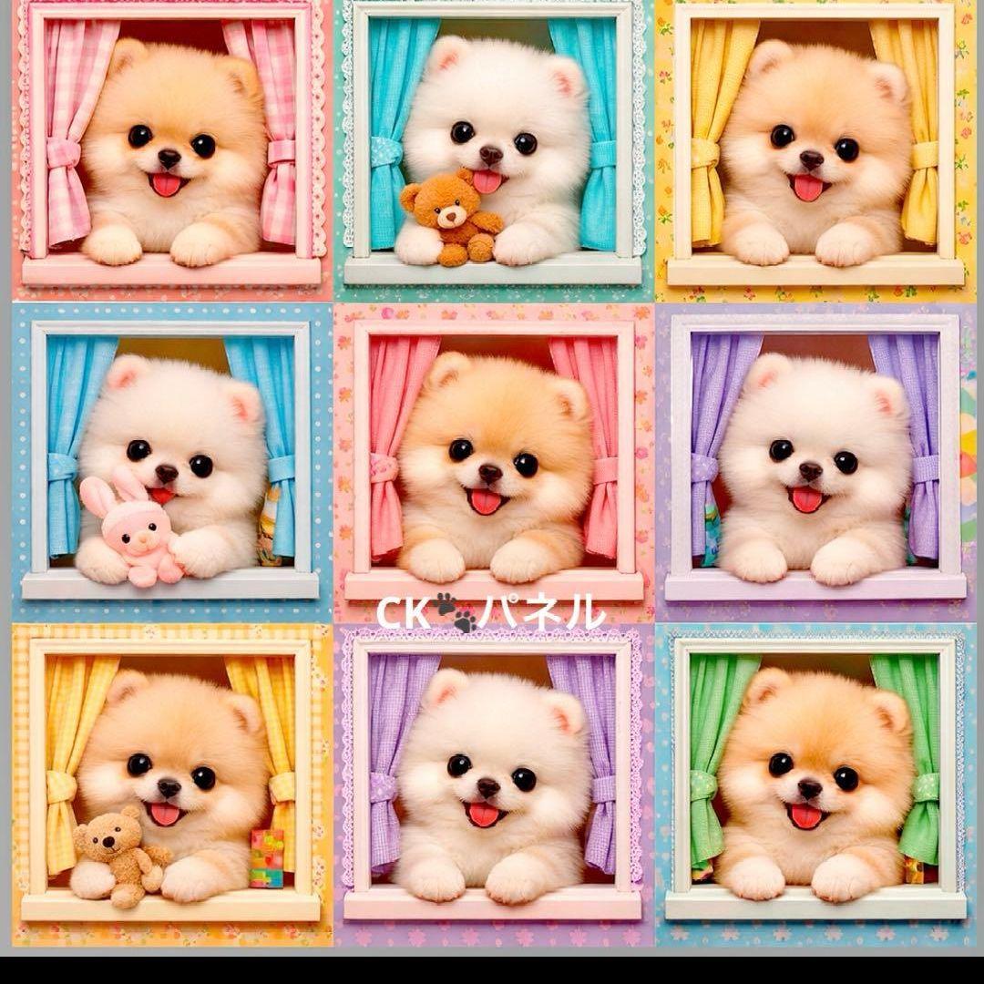 ハンドメイドオーダー受け付け(ポメラニアン、パピヨン、ダックス)