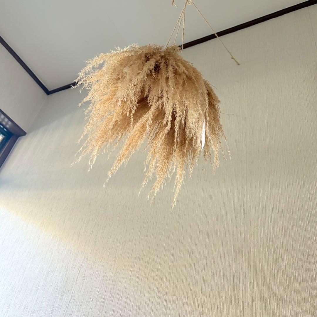 パンパスグラス フライングリース 35～40cm ＊ ピンクフェザー リース