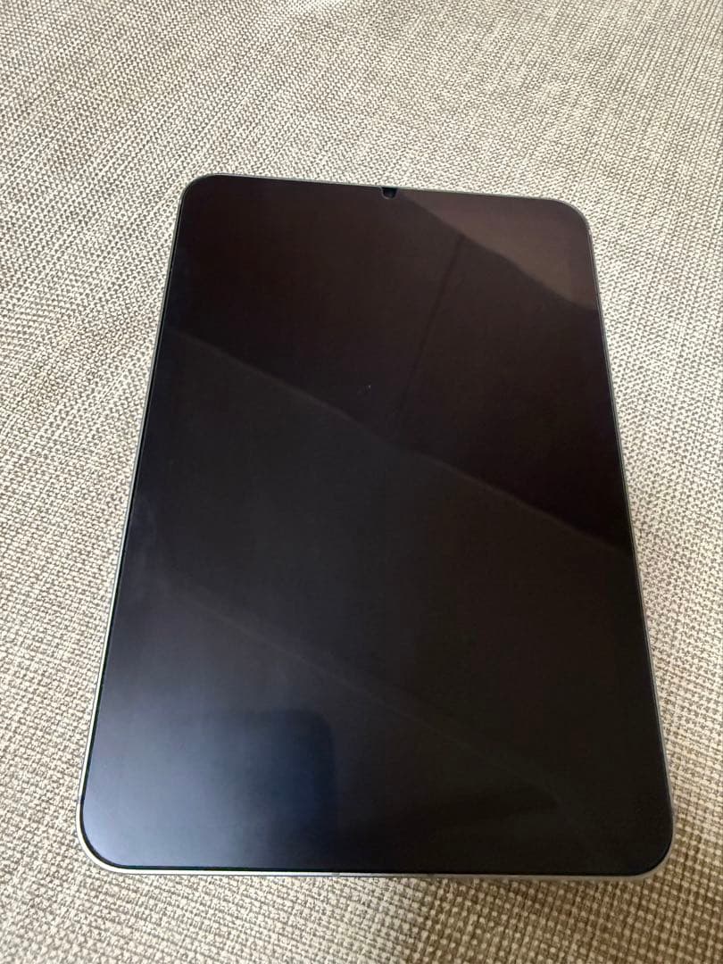 iPad mini 最新 256GB セルラー 美品 純正カバー+フィルム付