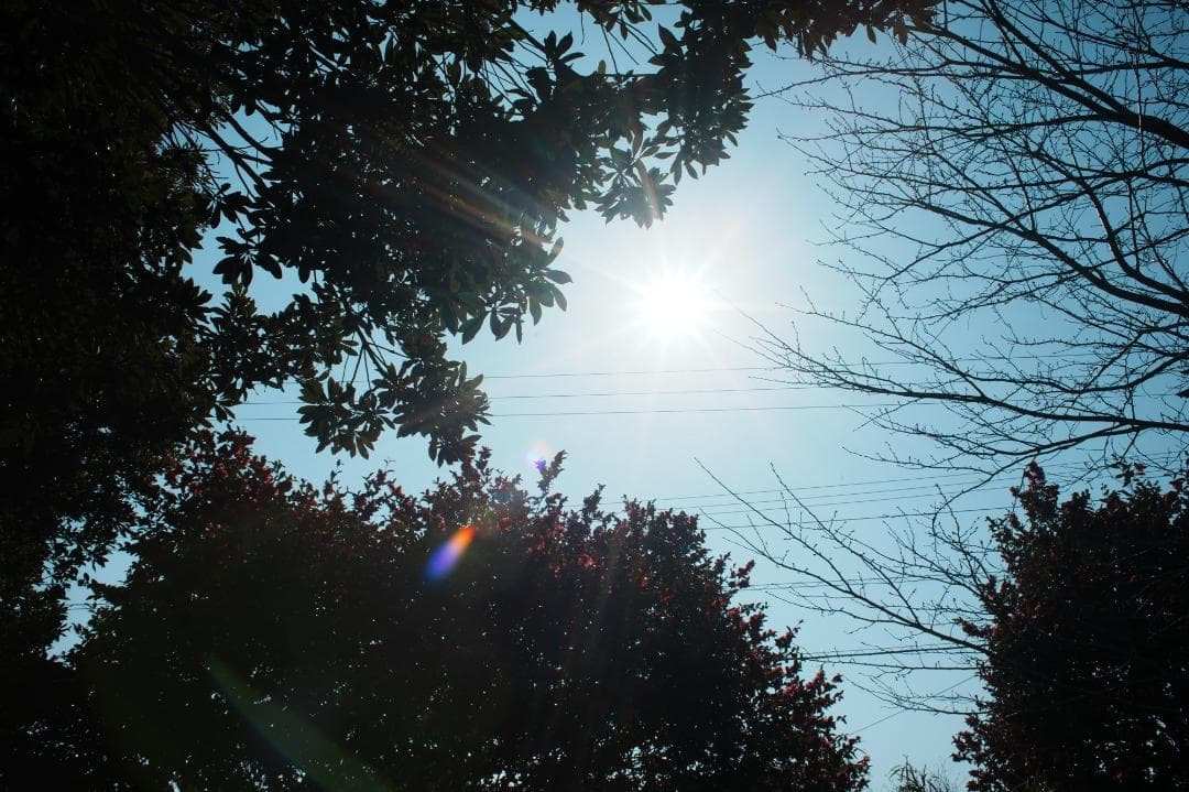 【プロテスト済】Canon EF 28mm F1.8 USM 339
