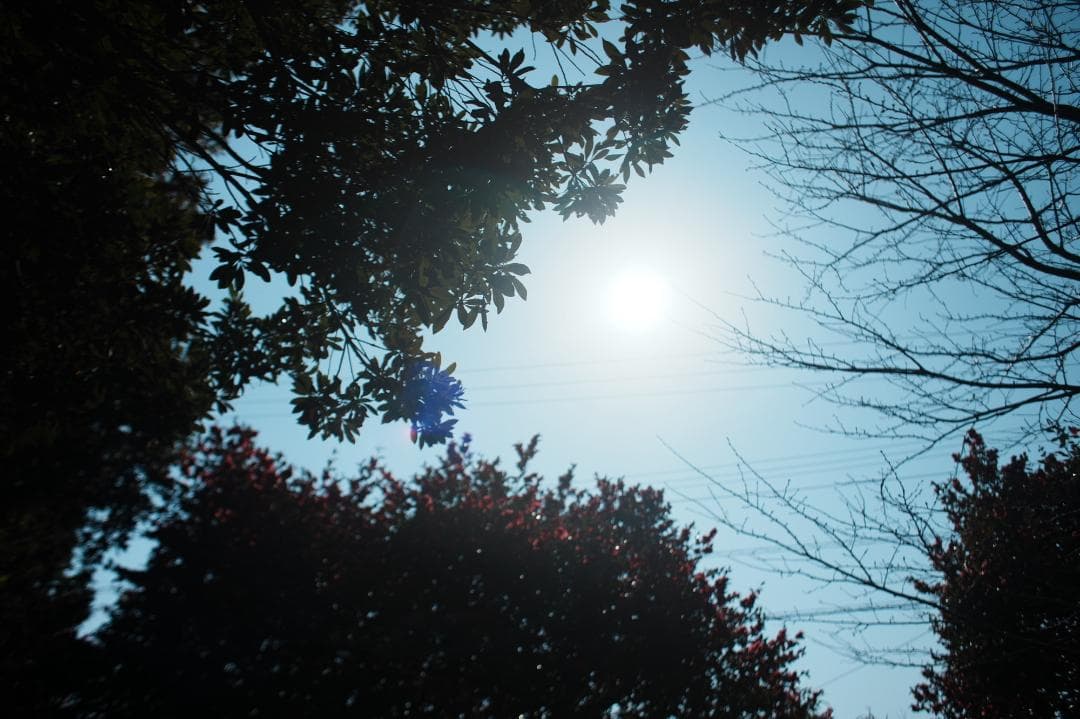 【プロテスト済】Canon EF 28mm F1.8 USM 339