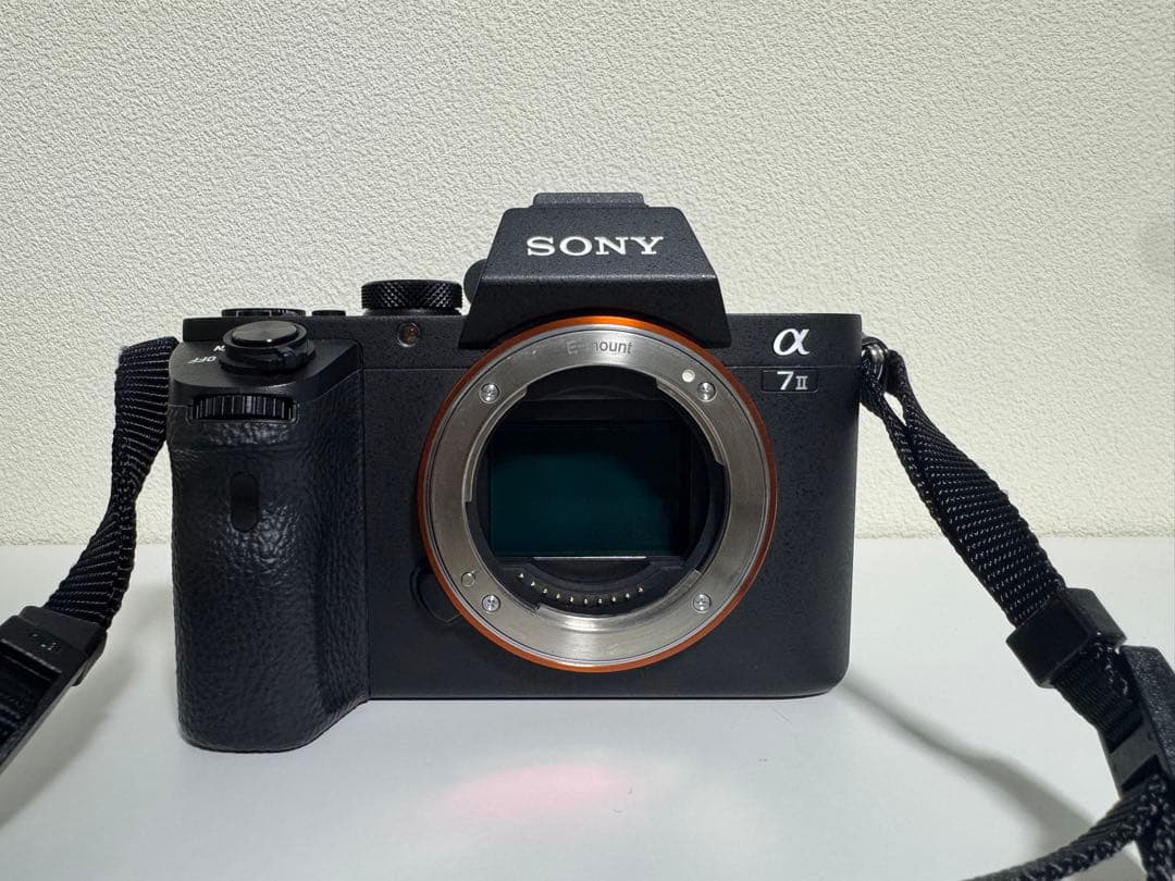 【低ショット6,732枚】SONY α7Ⅱ/ SONY FE 85mm F1.8