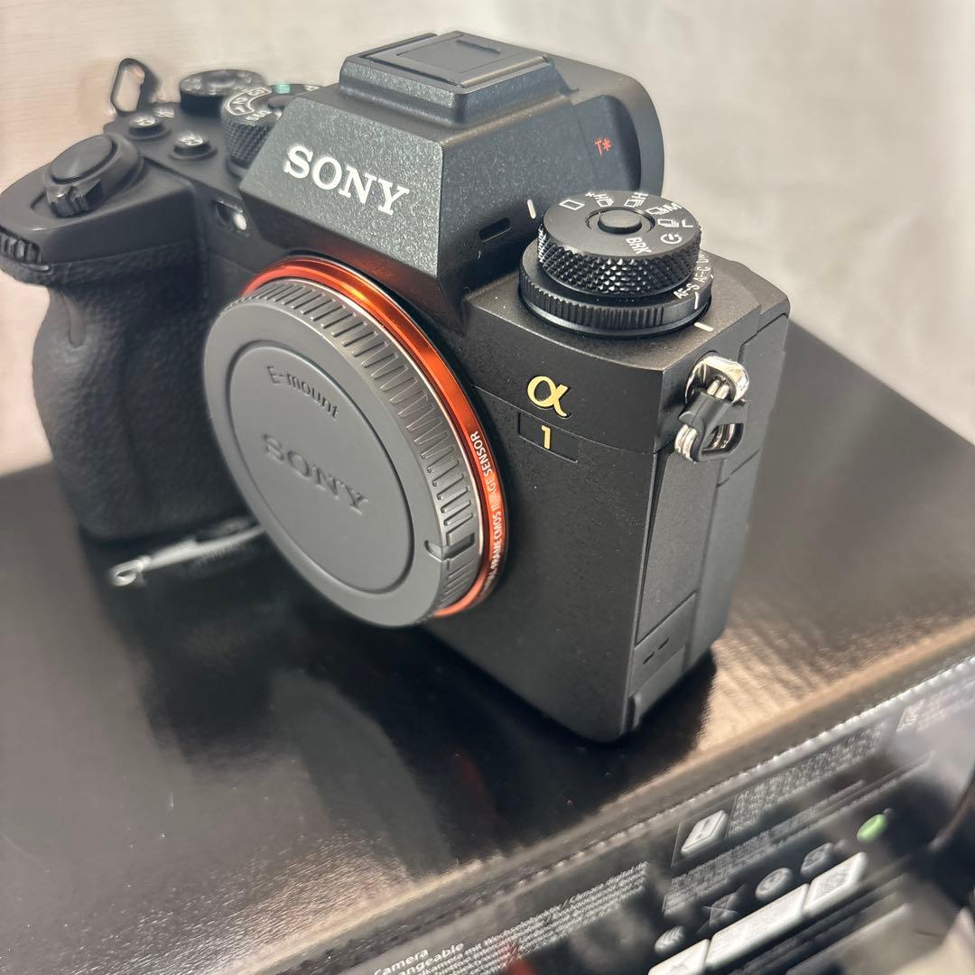 SONY α1 シャッター2795回