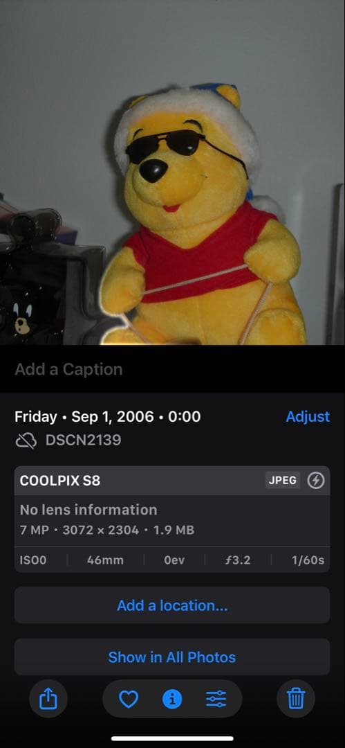 Nikon COOLPIX S8 デジタルカメラ シルバー　CCD 動作美品作例