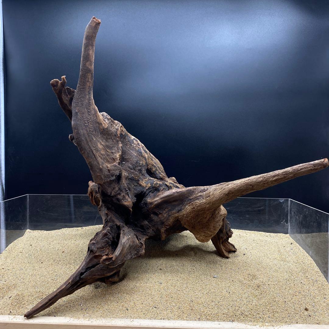 MRW-6296 赤系天然流木　一点物　流木　アクアリウム