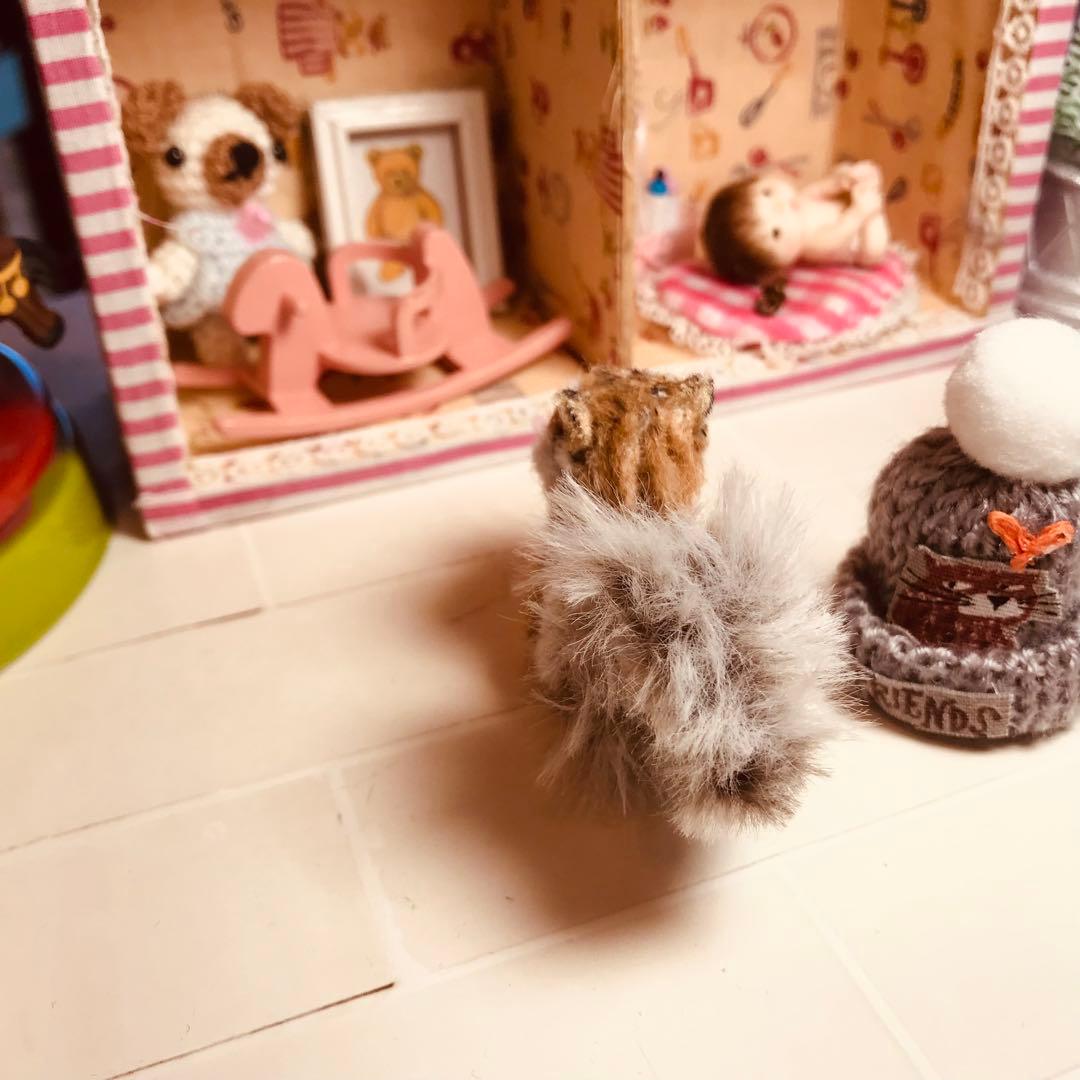 ミニチュア＊小さなリス＊モールアート